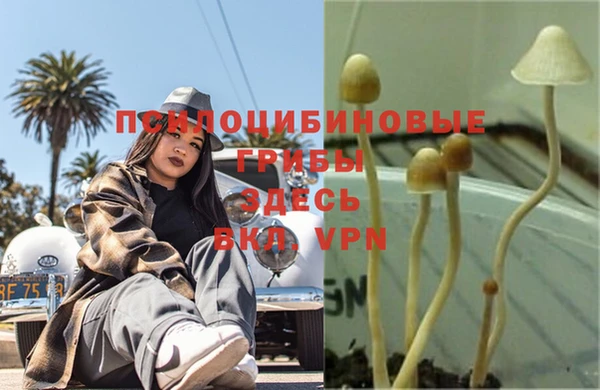 СК Балабаново
