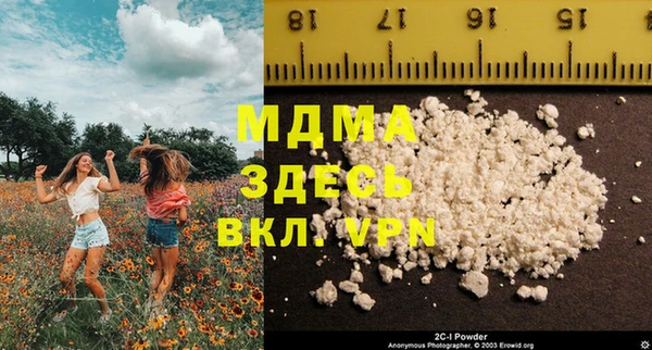 прущие грибы Инта
