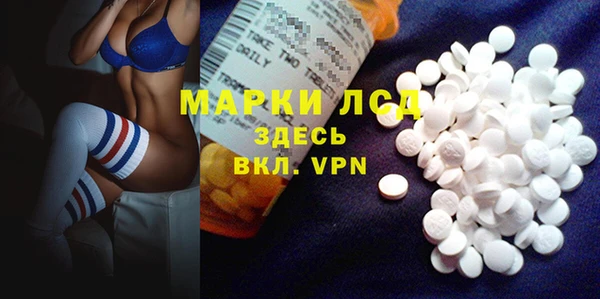 прущие грибы Баксан