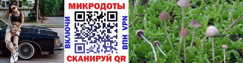дарнет шоп Сергач Псилоцибиновые грибы Magic Shrooms